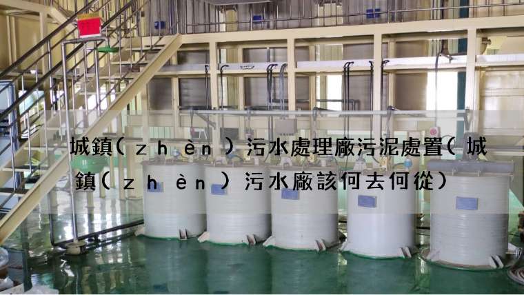 城鎮(zhèn)污水處理廠污泥處置(城鎮(zhèn)污水廠該何去何從)